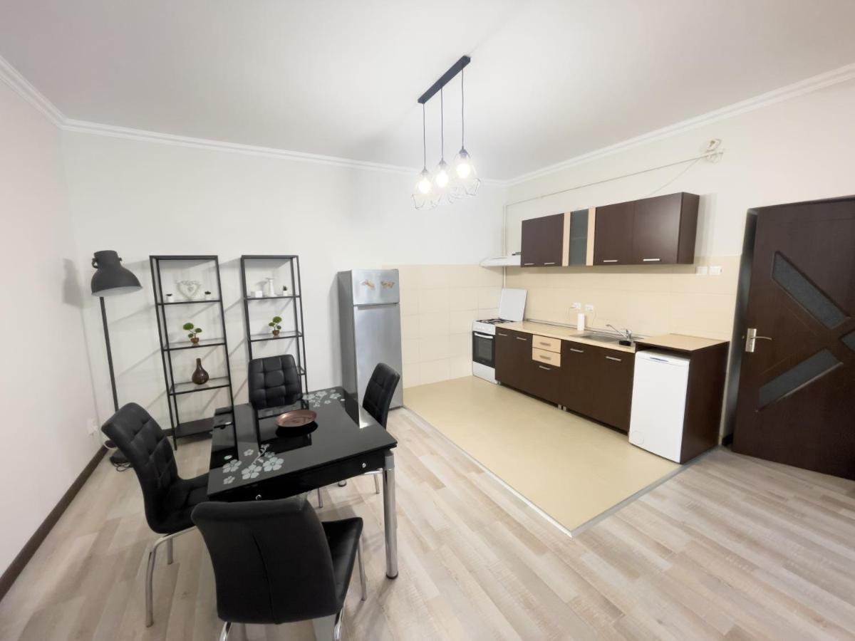Enjoy Apartments - Spacious Retreat In Our Villa Kolozsvár Kültér fotó